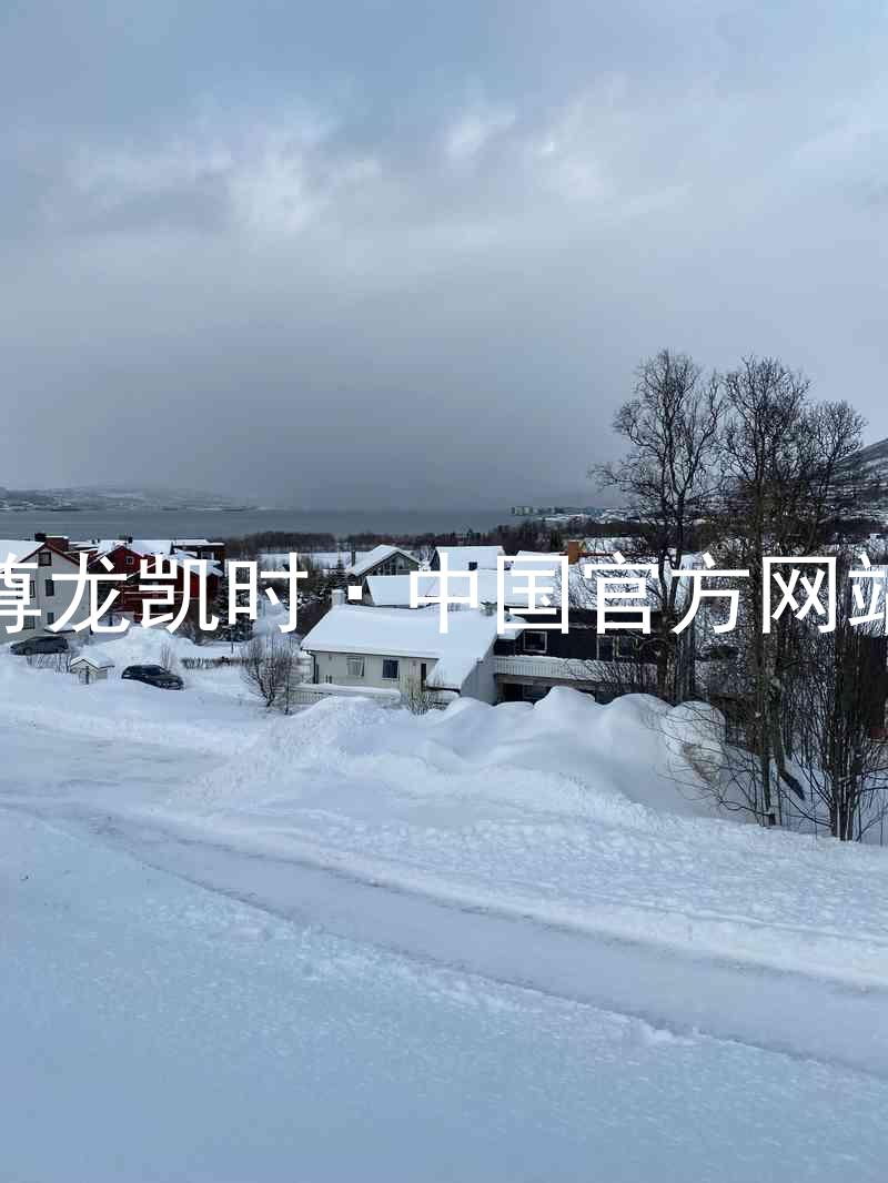 尊龙凯时·中国官方网站
